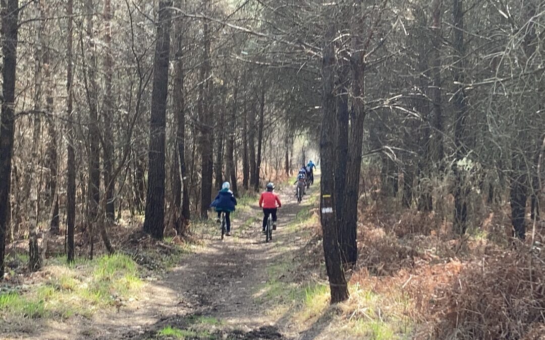 Sorties VTT : Avis aux amateurs et aux amatrices !!!