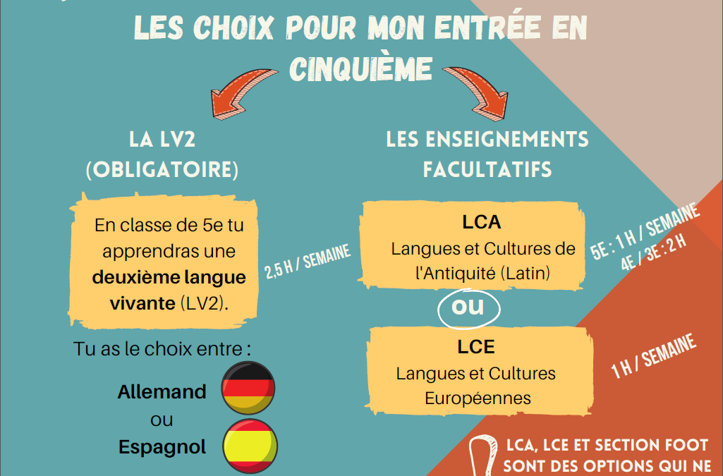 Le choix des options en 5e